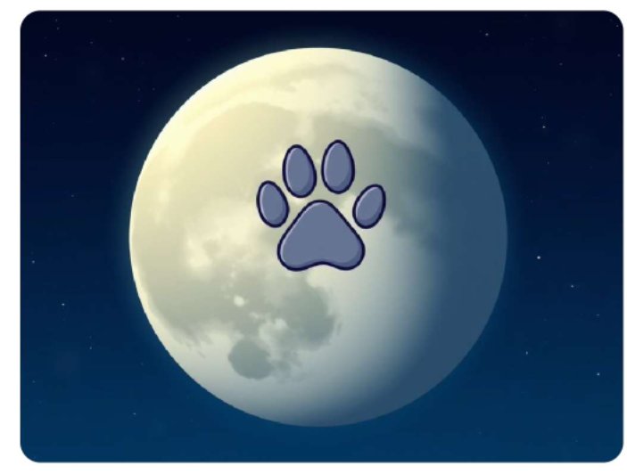 $PAWS up on the moon <a href="/KriptoExpo/">Kripto Exposer</a> <a href="/W3Vibes/">Web3_Vibes</a> <a href="/quackity4k/">Quackity 2</a>