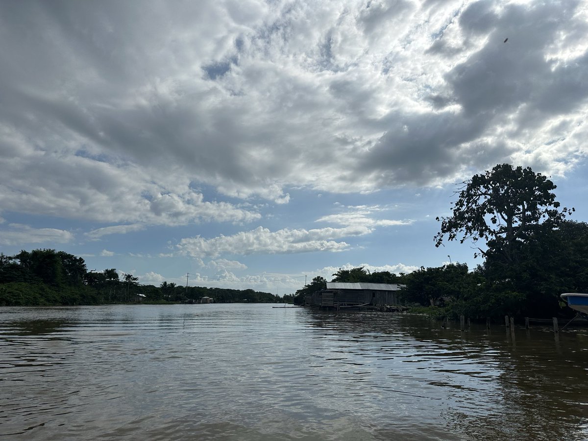 darosselli's tweet photo. RÍOS DE COLOMBIA

Hoy los llevo a recorrer el caudaloso río Atrato, de abajo a arriba. 

El delta del Atrato tiene varias bocas, una de las principales es frente a Turbo, en el golfo del Darién. El caserío se llama Bocas del Atrato. 

🧵 https://t.co/Z1NA5EXXK6