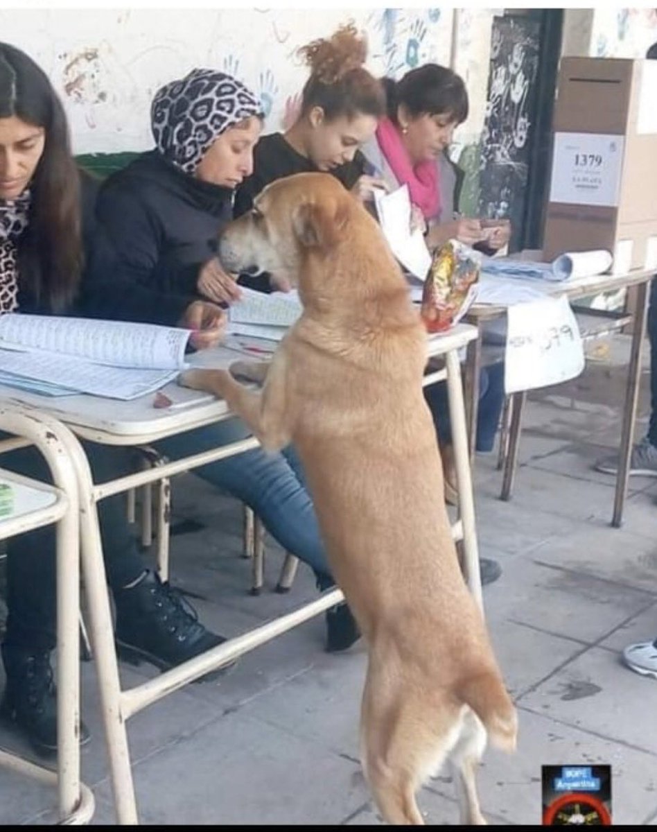 Lo último que me faltaba coincidir con Maroni en la mesa de votación.