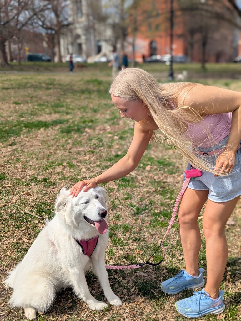 OscarWinning's tweet image. I love helping people remember why they love their dogs.

#OscarWinningBehavior #BehaviorThatWinsRewards
#doglife #happydog #doglover #puppylove