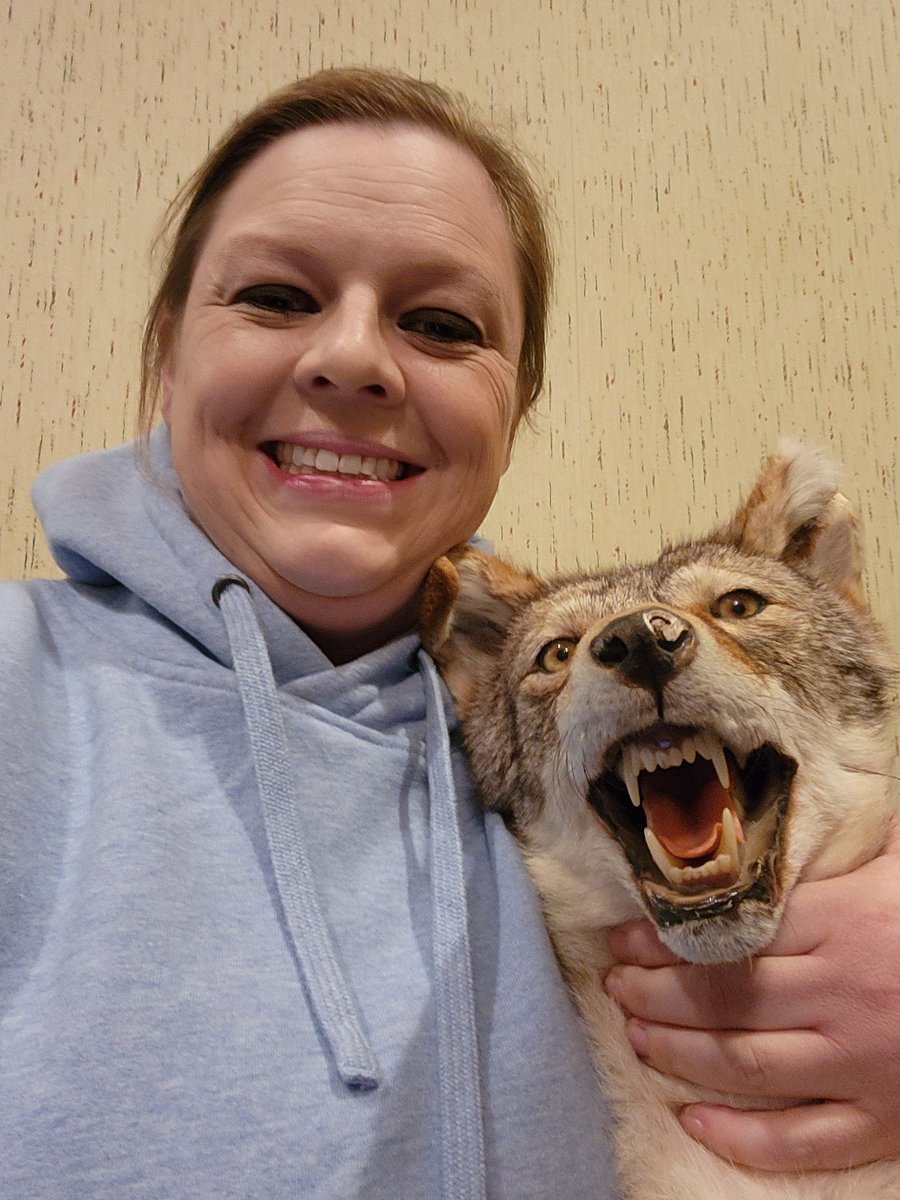 Wrestling, stay forever weird