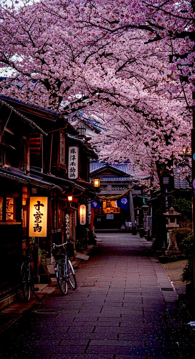 Spring in 📍Japan. 🌸