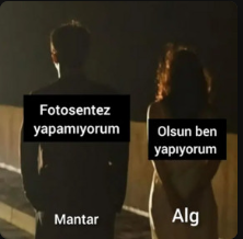 basichuman (@skuldvi) on Twitter photo 