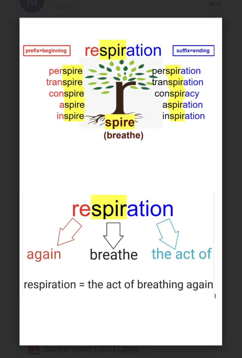 In ELA class, we learn the etymology of high-frequency tier 2 science words for deeper understanding and long-term recall for Regents multiple choice questions.