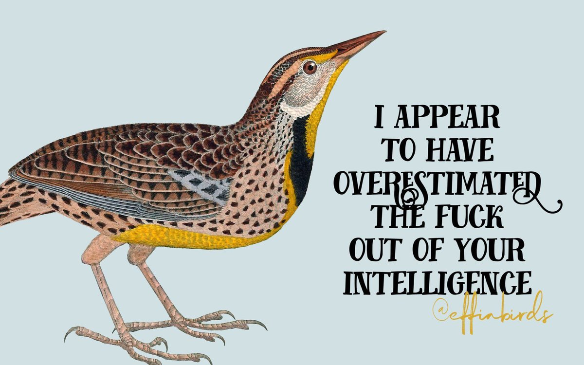EffinBirds's tweet photo. https://t.co/XHDfWJcmmd