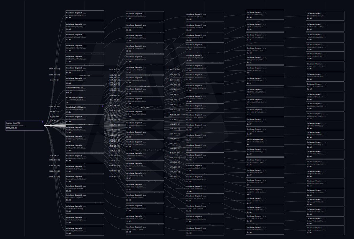 SoloJayQ's tweet photo. This is what @Cupseyy wallet relationships look like :

It’s simple : each rectangle represents a $200K deposit to Coinbase.
Every week, he sends his profits straight to Coinbase.
And he’s been doing it for over a year.

Cupsey is quietly building generational wealth, no flex, no ego, just execution.

Whether you like him as a trader or not,
he stays humble, keeps trading, and never stops no matter the market.
He’s already extracted $20M+ and he’s still going.

And he does all of it through one single fucking wallet.

Respect. 🫡