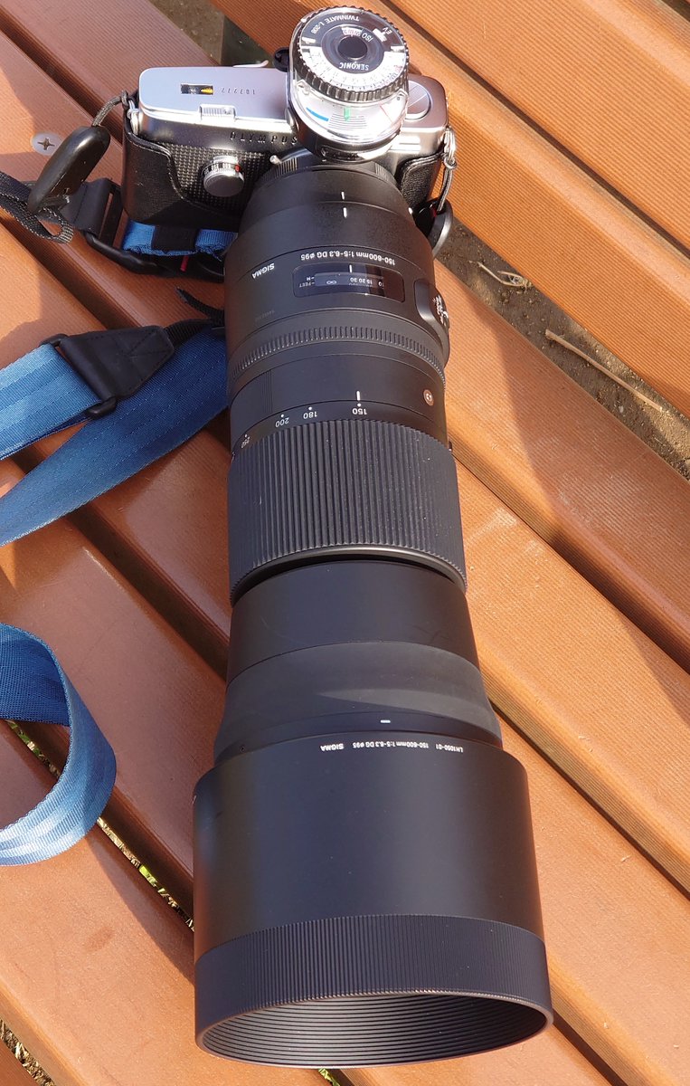 mercvrivs2's tweet photo. #SIGMA150600c に #OlympusPenFV をしがみ付かせて #桜 を撮ってきました(*´ω`*)
フィルムは初の #Ekter100
#OLYMPUS #OlympusPen #PenFV
#オリンパス #���リンパスペン
#ハーフサイズカメラ #フィルムカメラ #HalfFrameCamera #FilmCamera
#フィルム写真 #filmphotography #SIGMA https://t.co/mf0JnE2Gwb