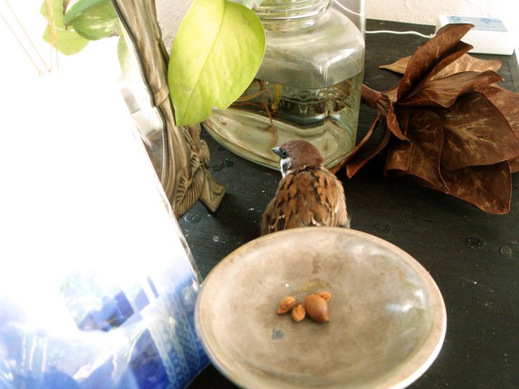 parody+ooc

"ร่าเริงแบบนี้ทุกวันนะครับไข่เจียว"