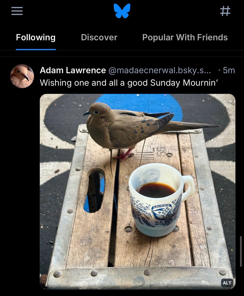 pssst… a reminder of where to find me these days.