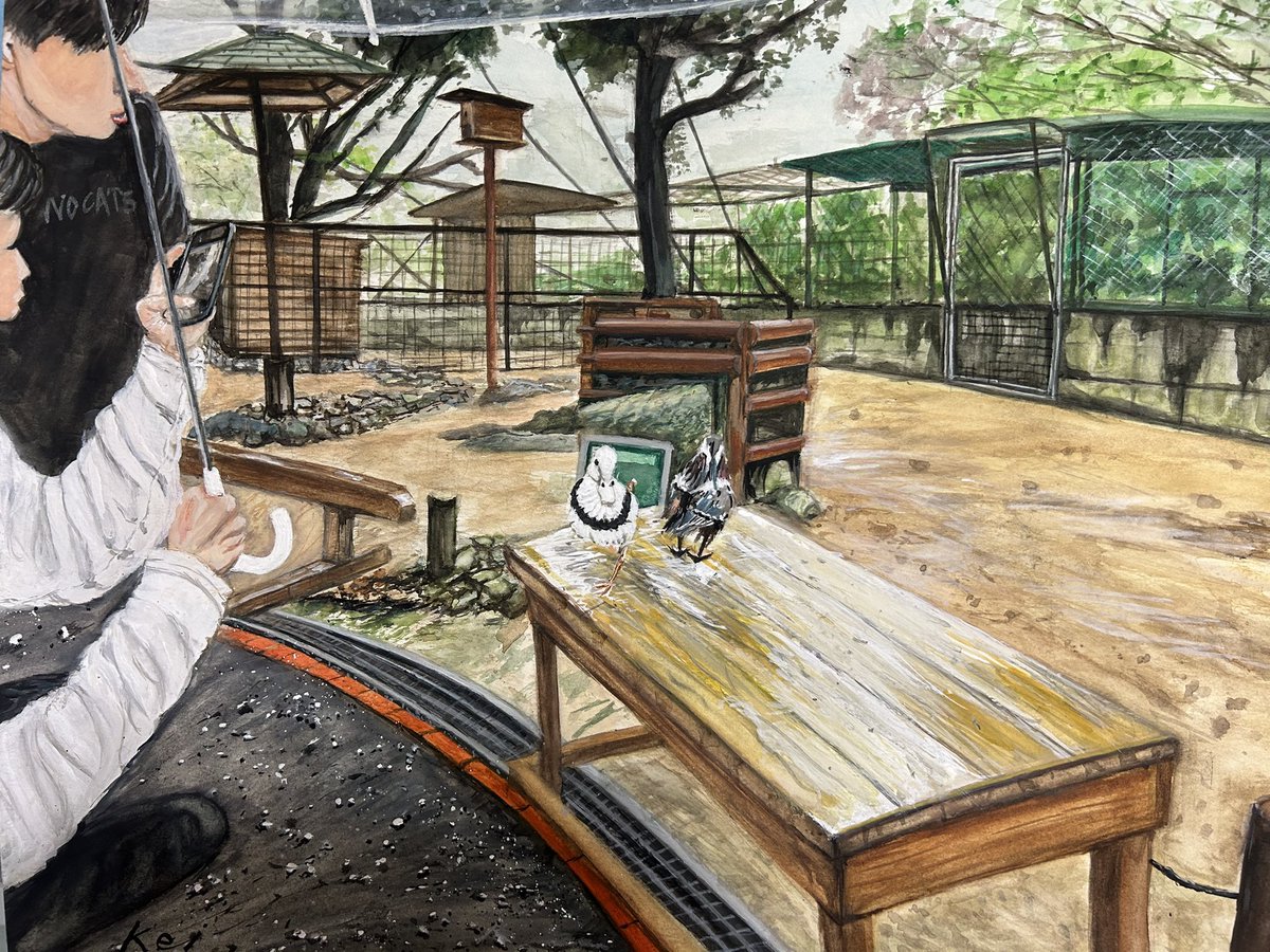 昨年４月に行った姫路セントラルパーク❗️
鳥🐧🦆のエリアで、雨の降る中，子供達は、ずっと観察していました🧐
#透明水彩画
#透明水彩研究会
絵描きさんと繋がりたい