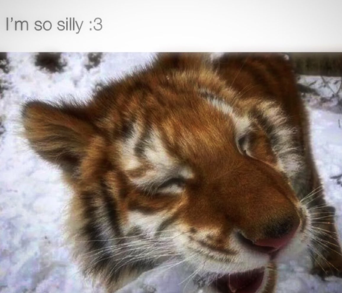 brtx (@bertsemanas) on Twitter photo 