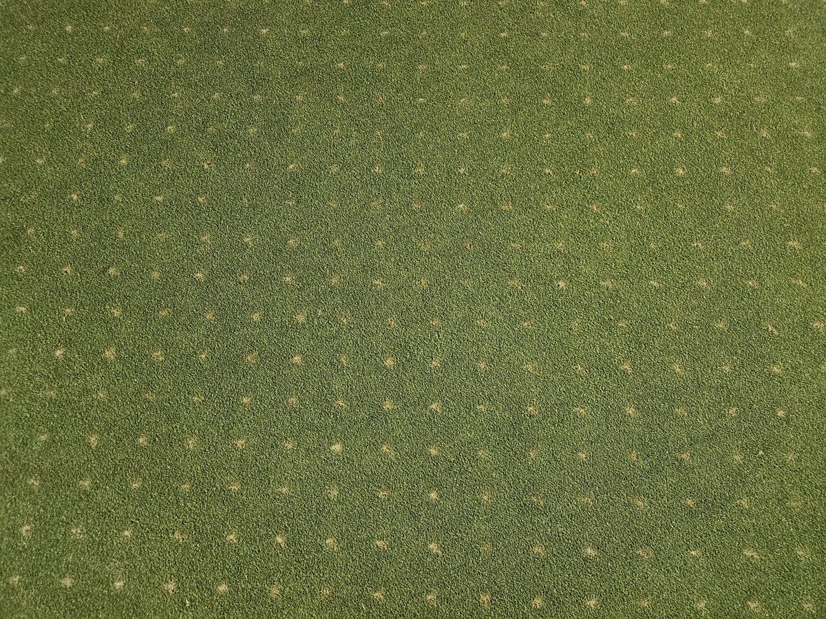 5 days post DryJect. Greens are healing up nice 🔥🔥