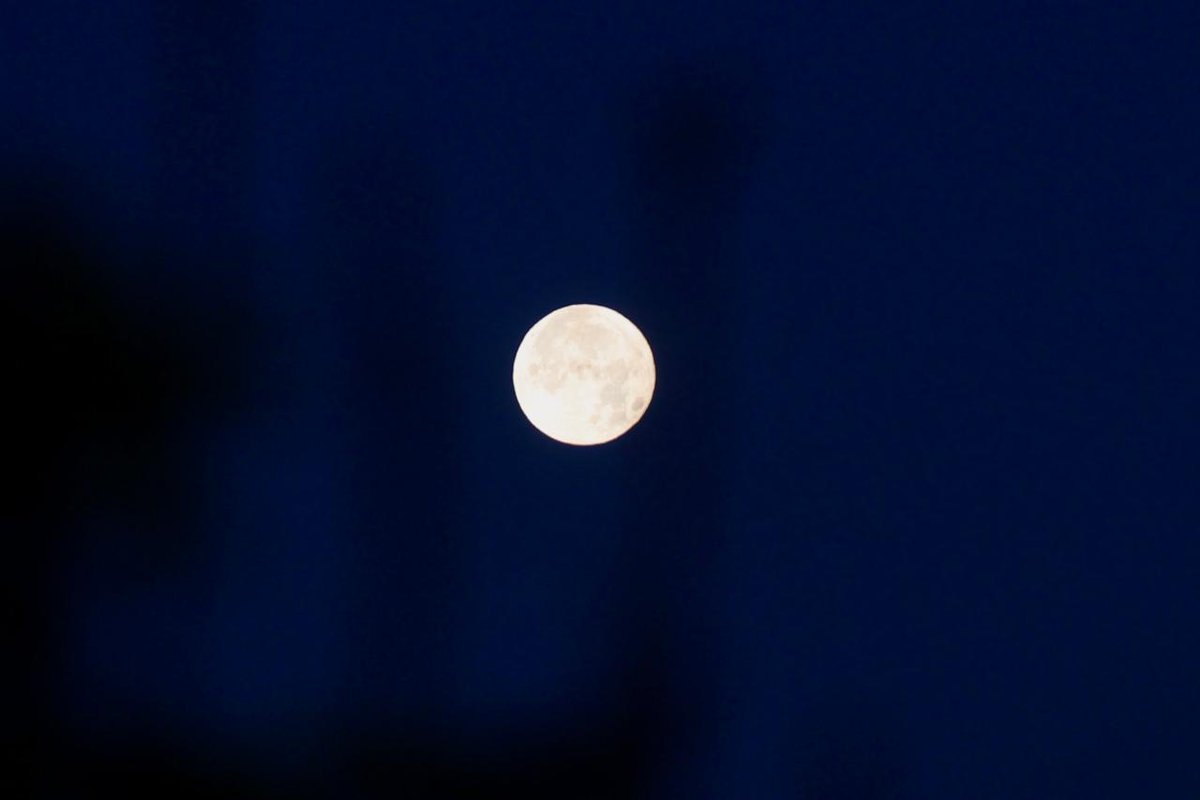 El_Universal_Mx's tweet photo. ¡Hermosa! 🤩

Así se vio la Luna llena la madrugada de este domingo 

Fotos: Valente Rosas | EL UNIVERSAL https://t.co/f5DoZS1L4m