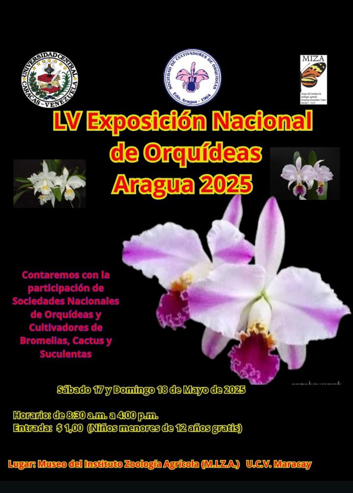 MIZAUCV's tweet photo. INVITACIÓN. Bienvenidos a esta LV Exposición Nacional de Orquídeas- Aragua 2025, que se realizará en nuestros espacios. https://t.co/dy02gP4h1f