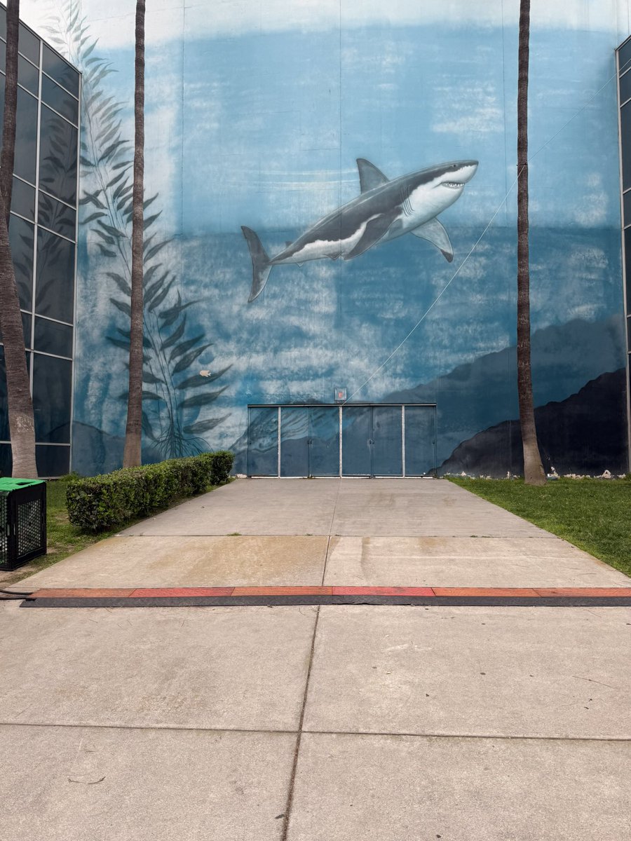 bobpockrass's tweet photo. Long Beach tweetup today 10a PT tweetup in the alley by the shark mural on the arena. Across from INDYCAR merch tent in fan area. Come say hello if you can. https://t.co/B2ONTbTzb7