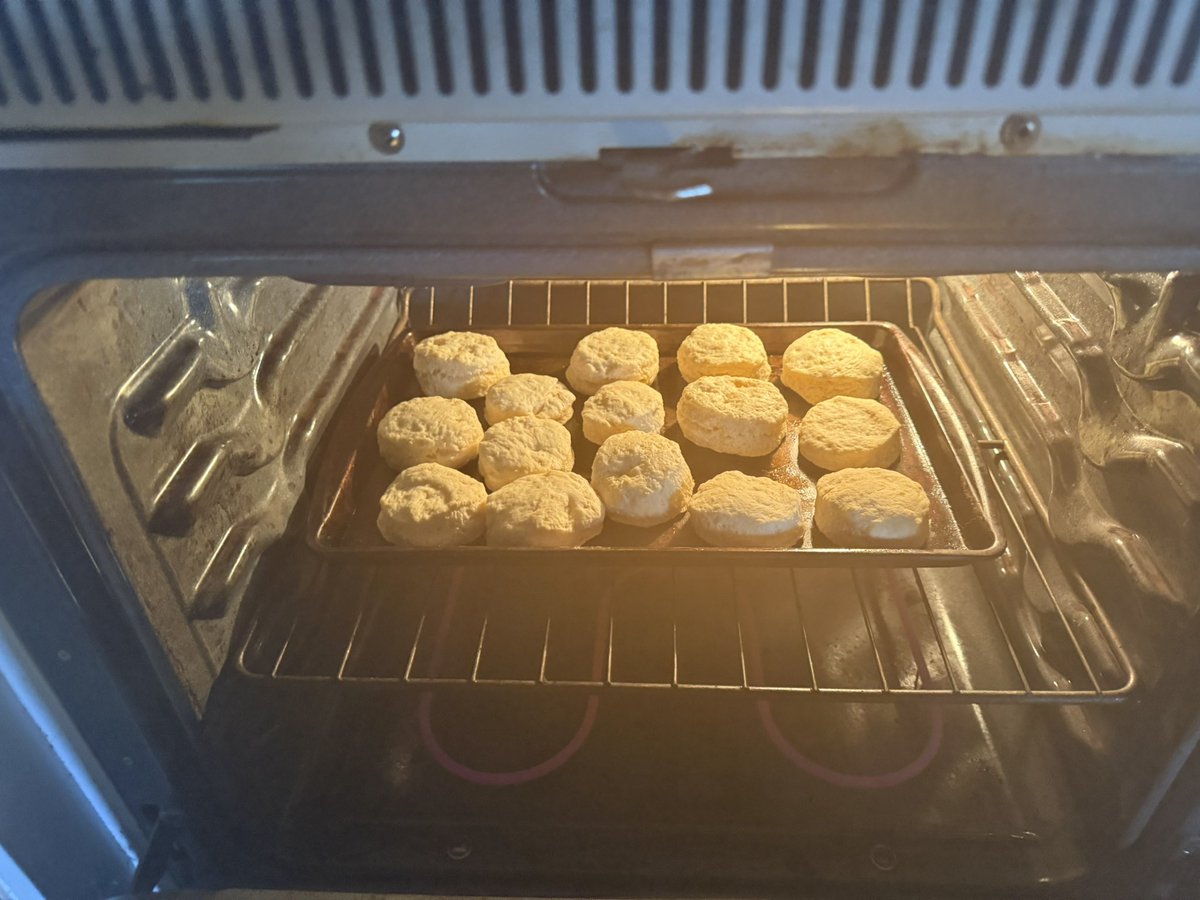 Homemade buttermilk biscuits. My first attempt ever. Turned out pretty damn good.