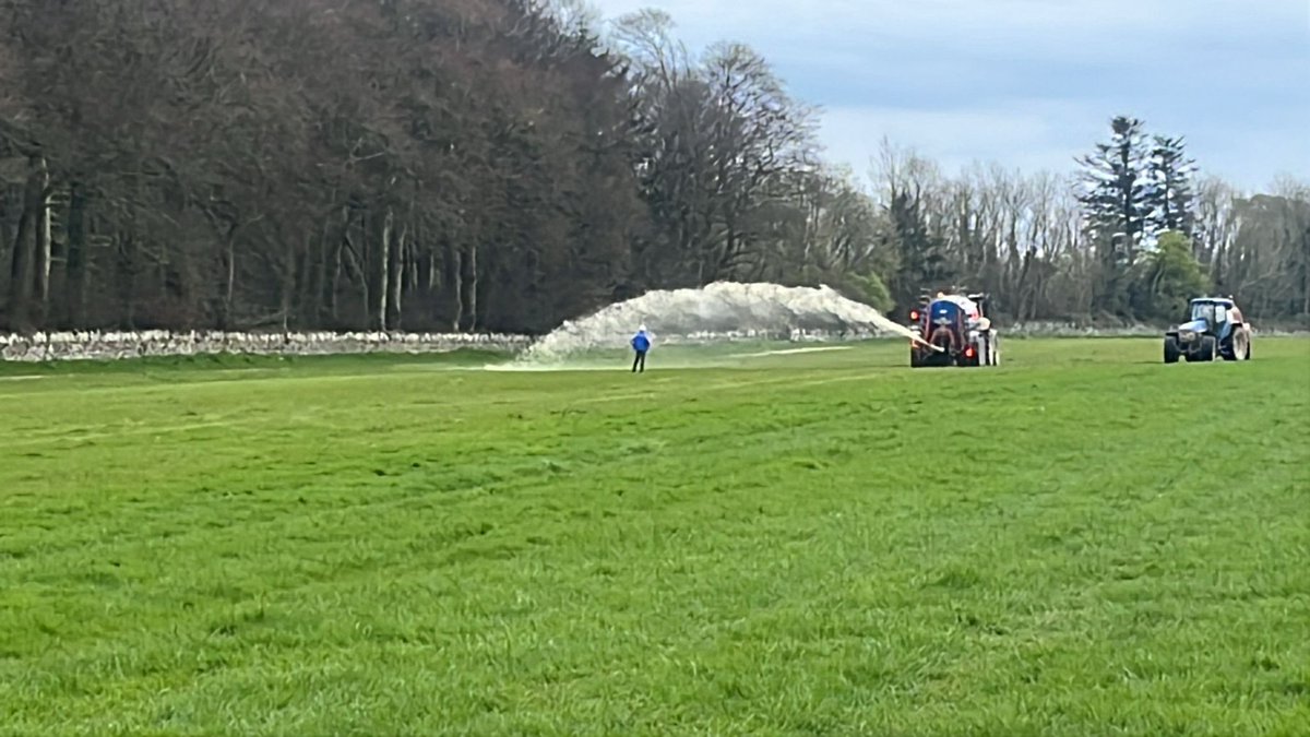 curraghmorep2p's tweet image. Watering has started for our p2p next weekend on Easter Sunday. Hopefully we might get to see the next nick rockett @irishp2p @QrIrish @IREthoroughbred