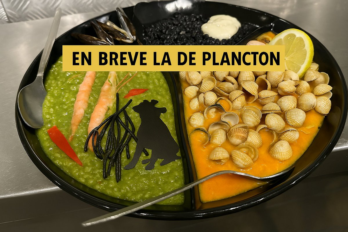 1Pinares's tweet photo. Chiringuito Los Pinares Reserva en : 693 20 45 33
Abrimos en Semana Santa…
Queremos que empieces a mentalizarte, porque el reencuentro se acerca.
Muy pronto, volverás a pisar la arena de la Madalena, a sentir la brisa salada en la piel, y a saborear el alma atlántica https://t.co/zTiOhEgUnE