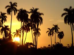 ¡Despierta, #Cuba 
! Un nuevo domingo de lucha y esperanza. 

"La mejor forma de decir es hacer."  
-Fidel Castro  
🇨🇺🌎