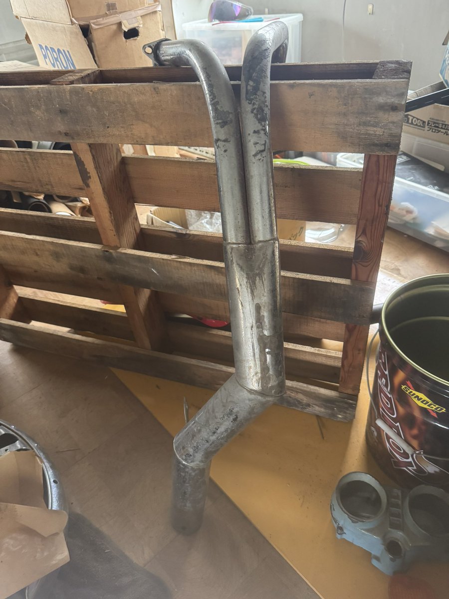 ケイト tweet media