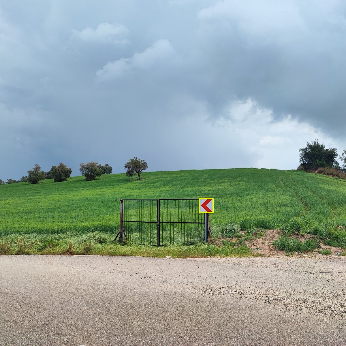 Adana’da bir çiftçi, etrafı açık tarlasına kapı yerleştirip asma kilit ile kilitledi.