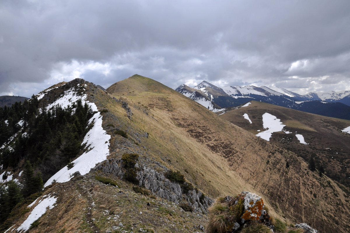 Le petit village isolé d'Ardengost sera le point de départ de cette jolie randonnée sur les contreforts de la vallée d'Aure et de la Barousse:
randopyrenees.blogspot.com/2025/04/mounta…
850D+ 12km 5h30
#pyrenees #rando #baladesympa #paysage #hautespyrenees #montagne