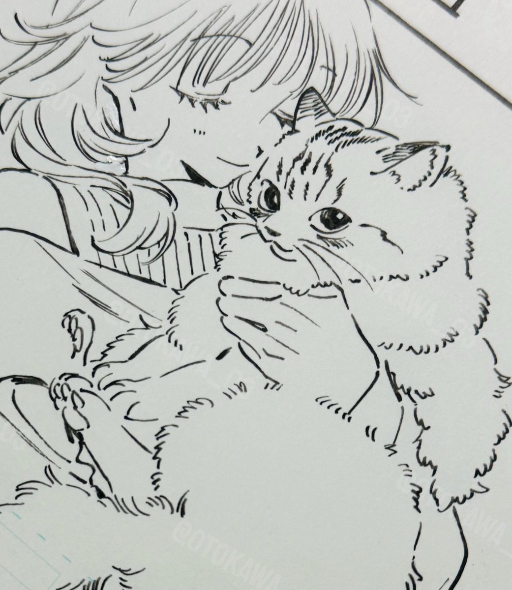 今週は更新がある週!
よろしくお願いします🐱 