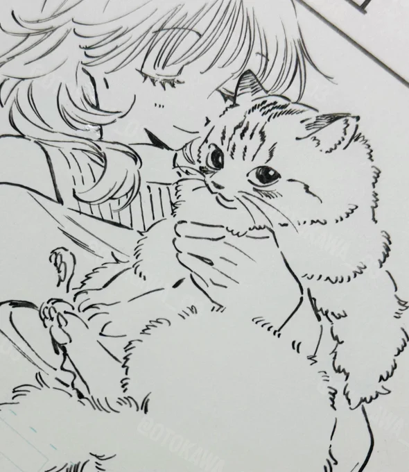 今週は更新がある週!
よろしくお願いします🐱 