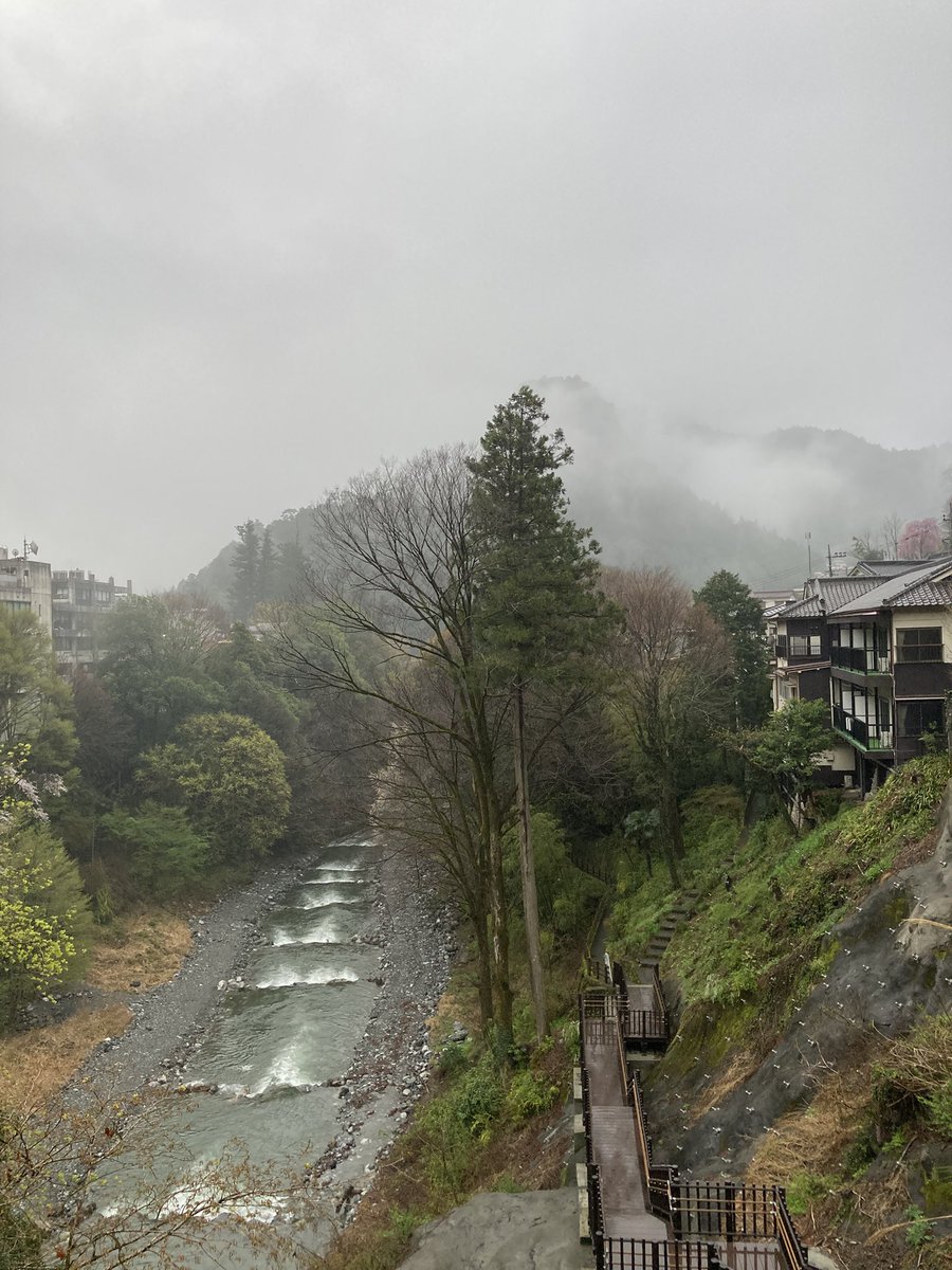 明日の晴れ☀️を期待😉
奥多摩・氷川付近part②