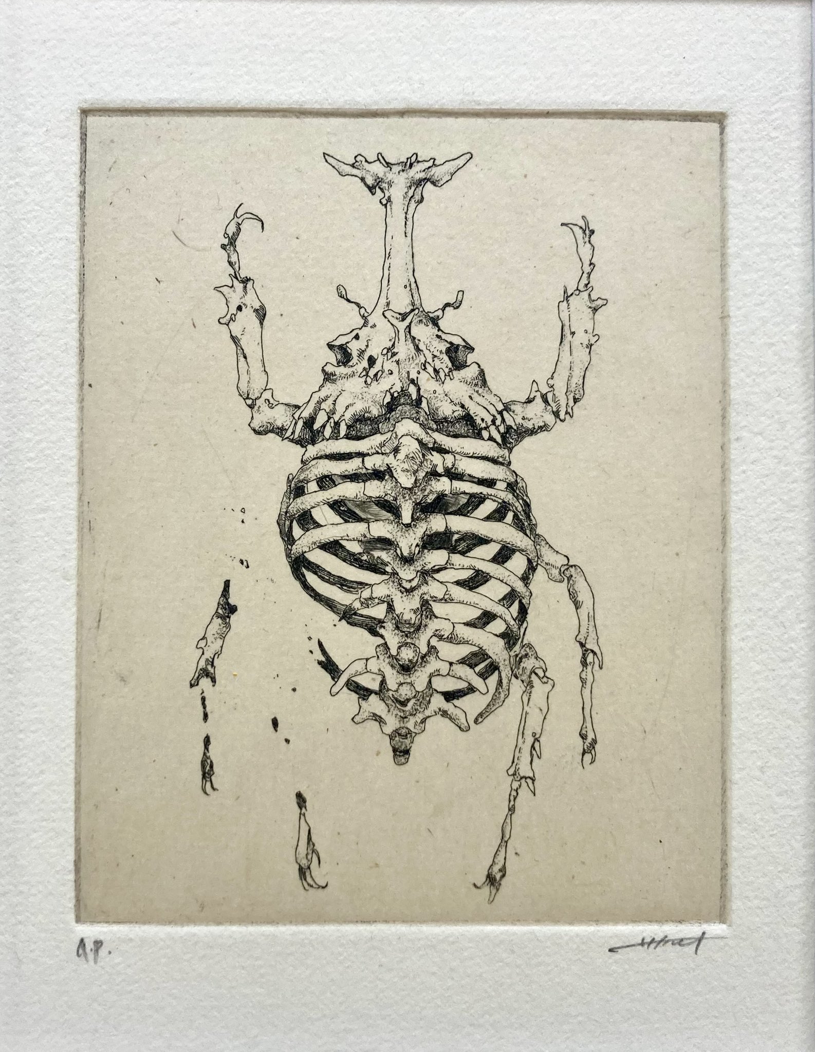 銅版画 - Search / X