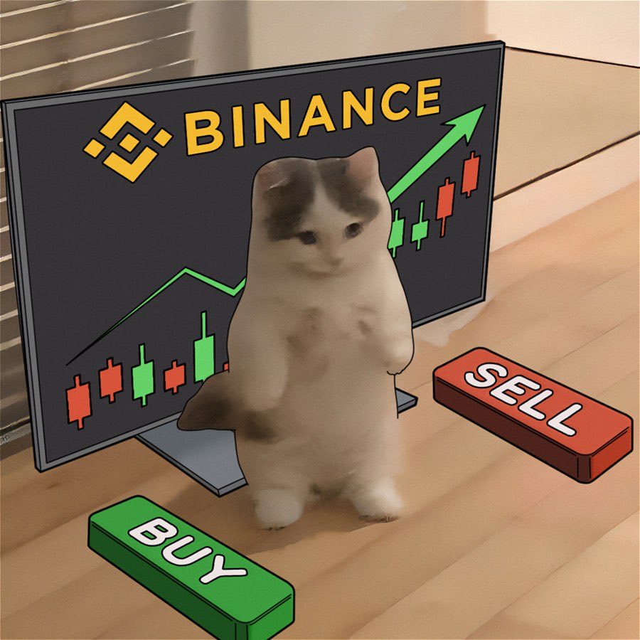 michionsolana's tweet photo. @binance gmichi https://t.co/TMN5hJdvmn