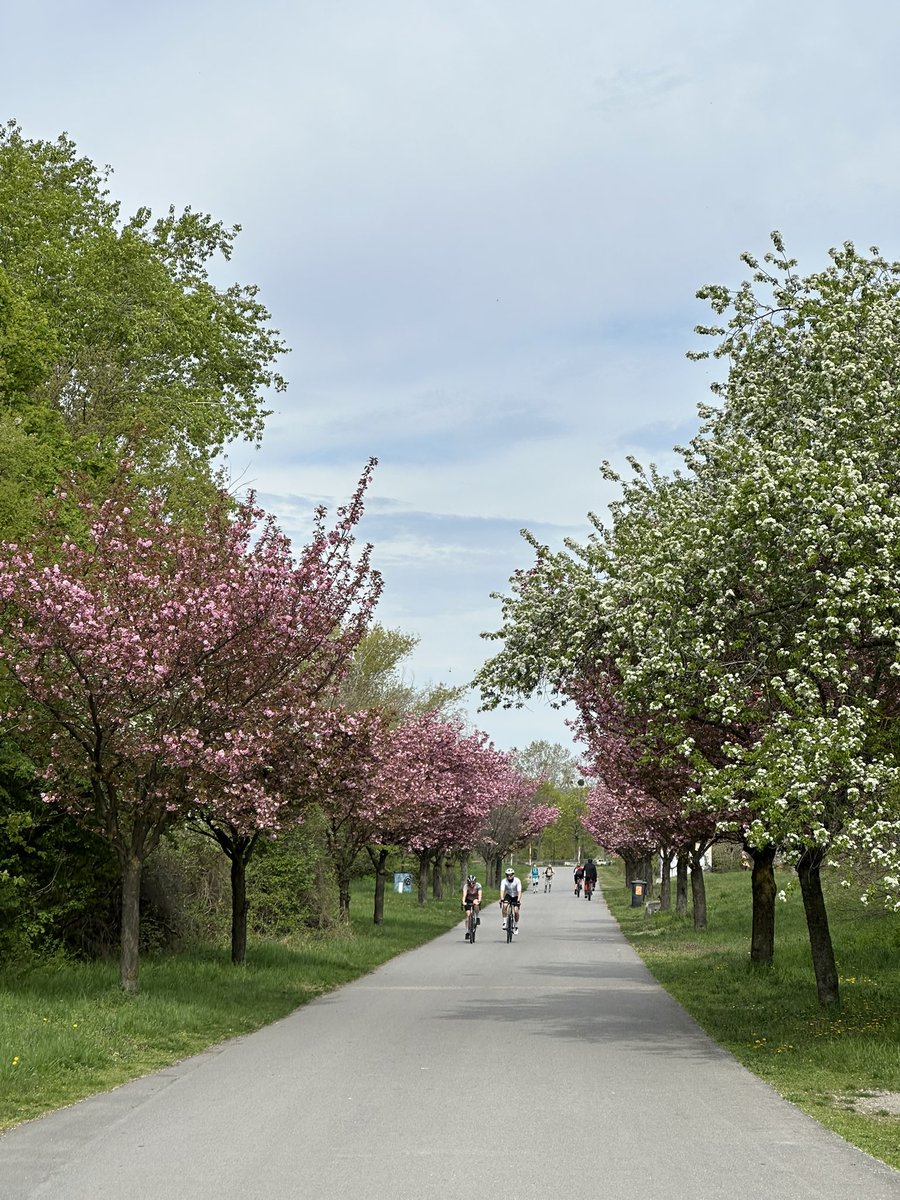 akhtarb1's tweet image. 12 km #run along the beautiful Danube River this morning , dedicated to everyone standing strong on the ground against canal construction on the Indus River. Protecting rivers is protecting life. #SaveIndus 
#SaveIndusDelta 
#RunForRivers