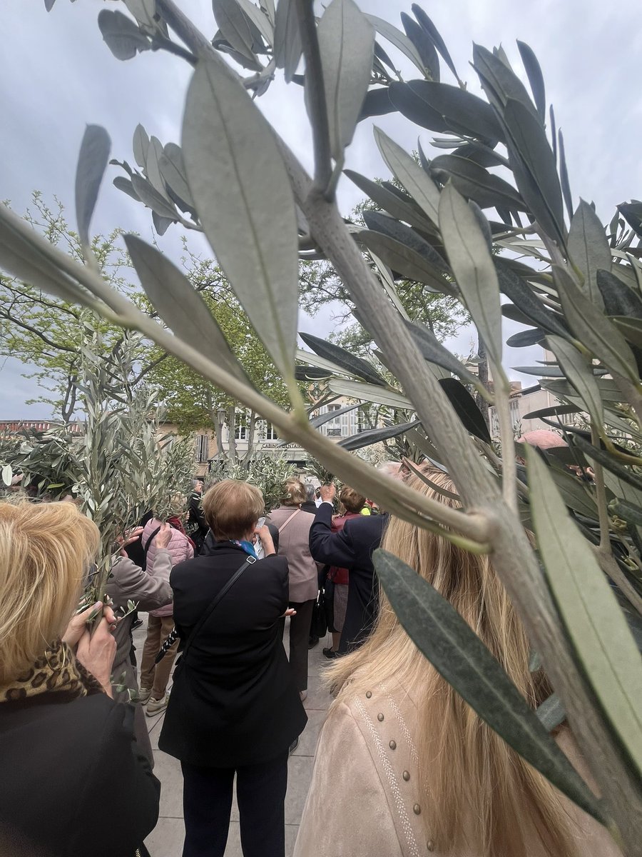 Bon dimanche des Rameaux ! 🕊️