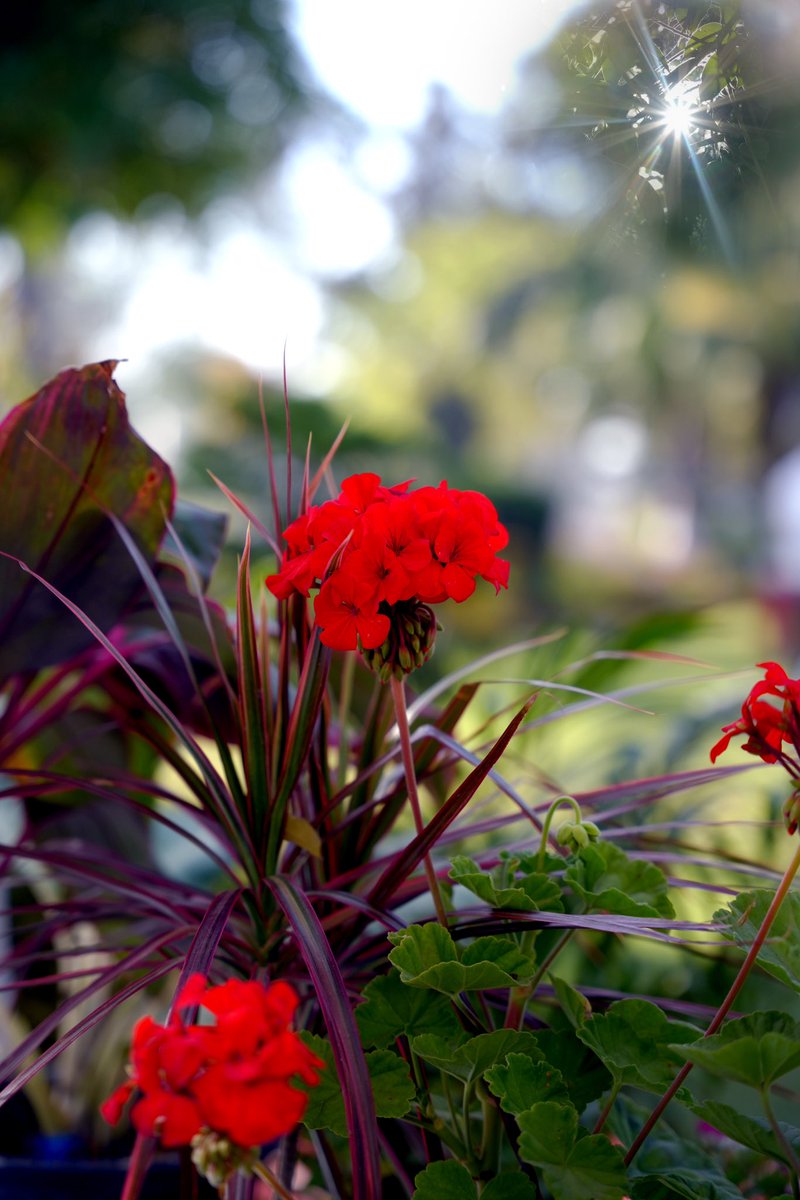 <a href="/MayankFoundtion/">Mayank Foundation,Ferozepur</a> 
Organised First of its kind ‘Flowers &amp; Ornamental Plants Show  ‘The Green Canvas’ promote environmental awareness and gardening creativity. 
 
<a href="/moefcc/">MoEF&CC</a>
<a href="/PSCST_GoP/">Punjab State Council for Science and Technology</a>
<a href="/PbGovtIndia/">Government of Punjab</a>
<a href="/PritpalPSCST/">Pritpal Singh</a>
<a href="/KSBathPSCST/">KSBathPSCST</a>
<a href="/susangeorgek/">Susan George K</a>
 <a href="/thkurmandakini/">Mandakini Thakur</a>
<a href="/anirudhdcm/">Dr Anirudh Gupta</a> <a href="/RajivSetia6/">Rajiv Setia</a>