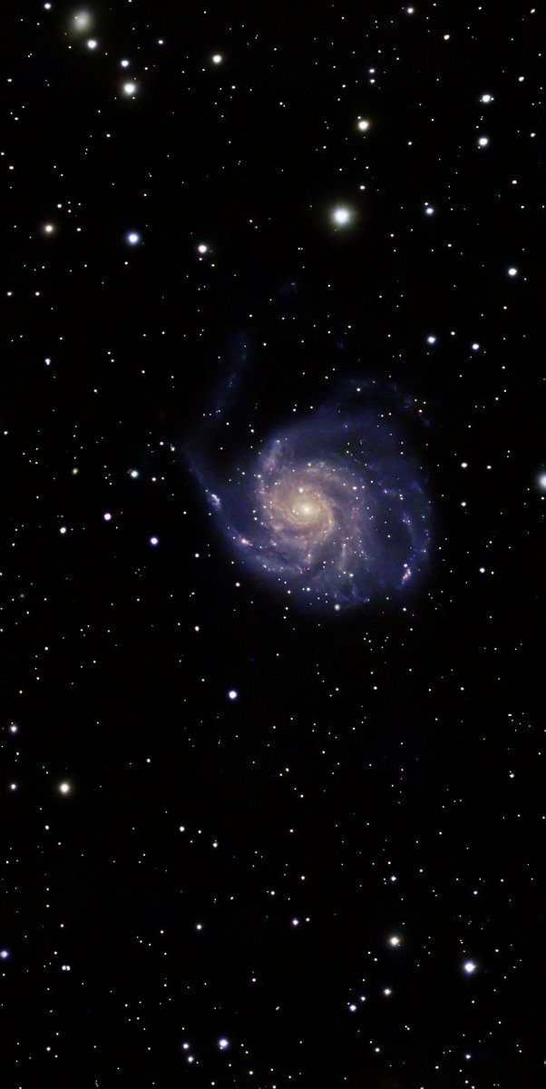 frouland92's tweet photo. Ma version de M101, la galaxie du moulinet dans la constellation de la grande ourse. Presque 7h de prise de vue le 11 avril avec le formidable #SeestarS50 en mode Eq https://t.co/1gvJoEsmxY