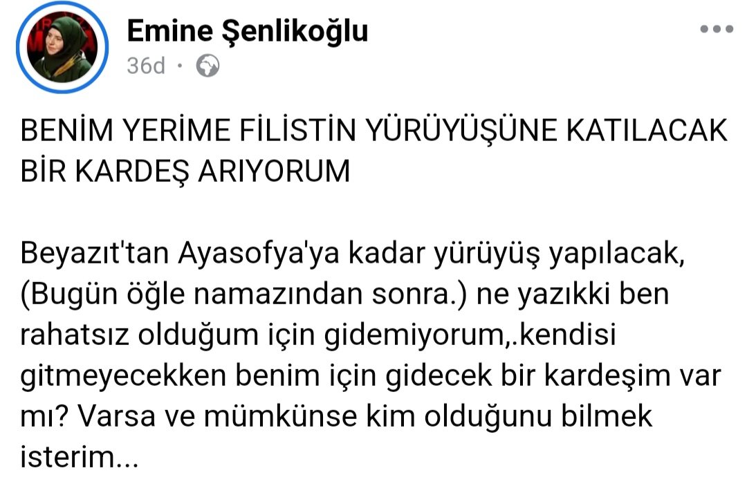 emine şenlikoğlu tweet media