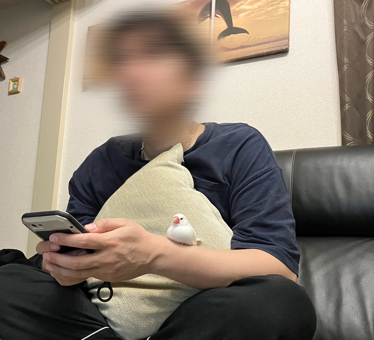 ktt_kum_kmc's tweet photo. YouTube観てるふたり https://t.co/6xQ2hlqF9A