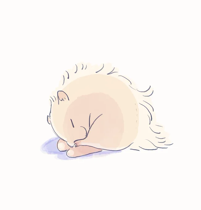 (画像:1) #mond_umiuro