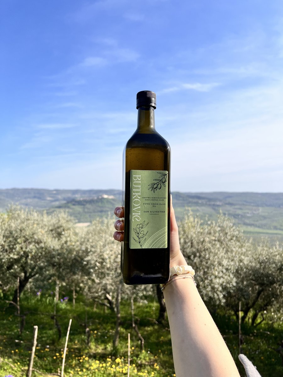 OlivetoButkovic's tweet photo. Prirodno. Domaće. Savršeno. ✨
Na sunčanim brežuljcima kraj Oprtlja ☀️, s pogledom na Motovun, nastaje naše ekstra djevičansko maslinovo ulje Butković. 🫒
Savršeni uvjeti stvaraju ulje bogatog okusa i mirisa – za sve koji znaju prepoznati pravu kvalitetu👌
Butković maslinovo ulje https://t.co/w9W60kbCaK