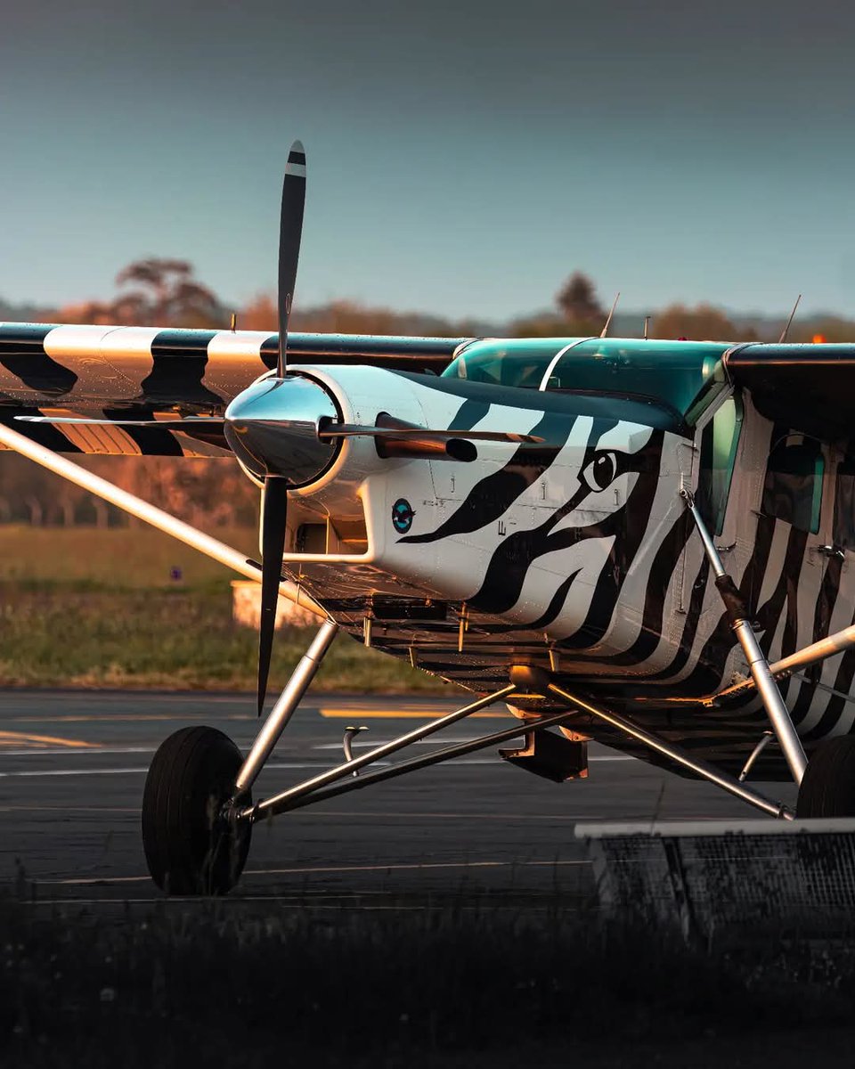 'Zebra Porter'
Private Pilatus PC-6 Turbo Porter 'F-GLEU' at Bergerac Airport.