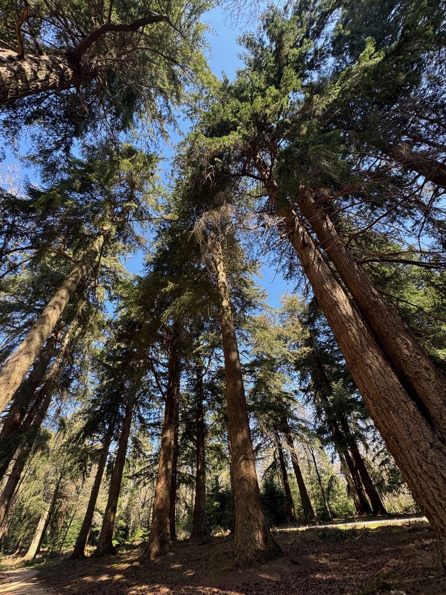 There is a true power of being outdoors. Fresh air, birdsong, open skies. Whether it’s five minutes or five miles, time spent in nature is time well spent.

Reconnect in the New Forest: bit.ly/3O886UI