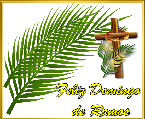 Xoán Eiriz tweet media