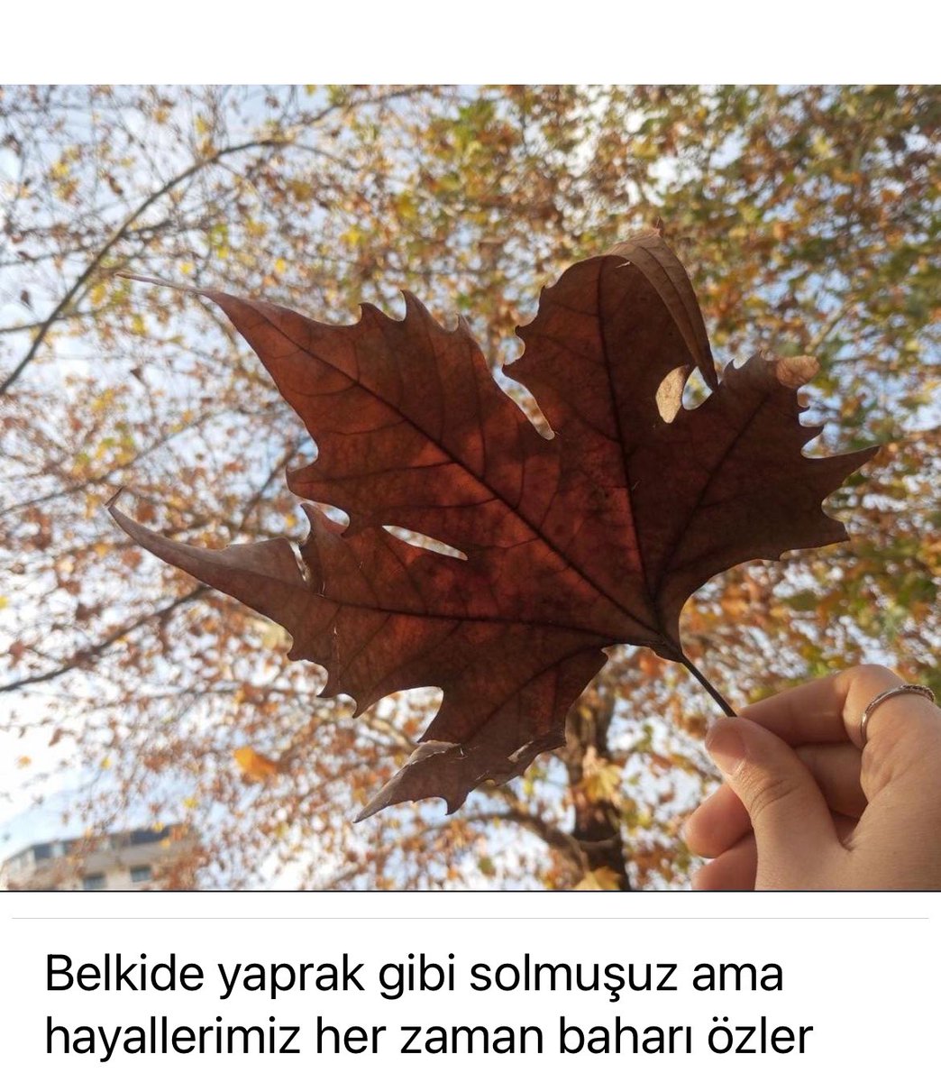 Kenan (@mkenangoral) on Twitter photo 