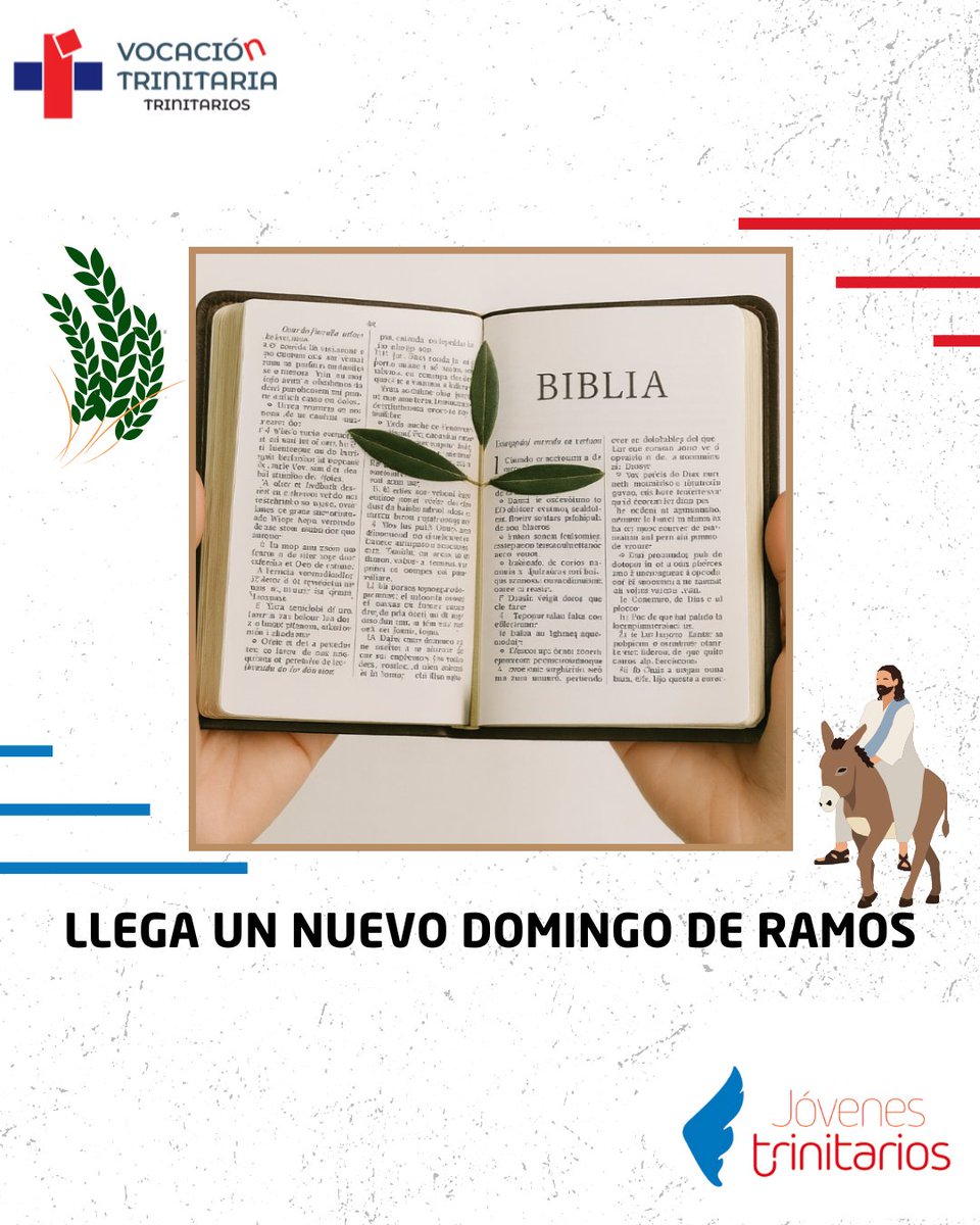 "Jesús entra en Jerusalén con humildad, no con poder.
Con amor, no con violencia. Que este Domingo de Ramos nos recuerde la fuerza de la paz. 🌿🕊️
#DomingoDeRamos #Reflexión #SemanaSanta"