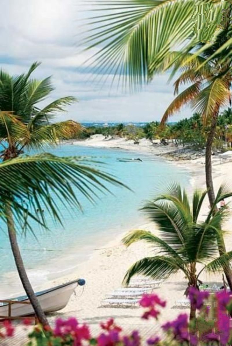 LUVIORIA's tweet photo. Dominican Republic 🇩🇴
#Travel
#visit
#photo
#photograghy
#sundayvibes
#Goodafternoonx
#Dominican_republic https://t.co/sRxEfvyHZq