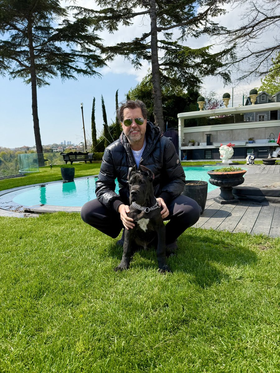 safakcak's tweet photo. Ailemizin yeni üyesi, “Fifty” (4 aylık) 🙌🧿 #newmember #greatdane #greatdanepuppy #greatdanesofinstagram #danua #safakcak https://t.co/BiUmvdoQWM
