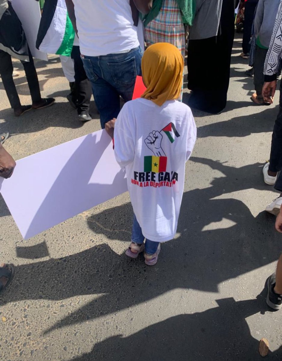 Noo_IDcard's tweet photo. La Palestine 🇵🇸 vivra et vaincra 
#FreePalestine https://t.co/wxpqvNy651