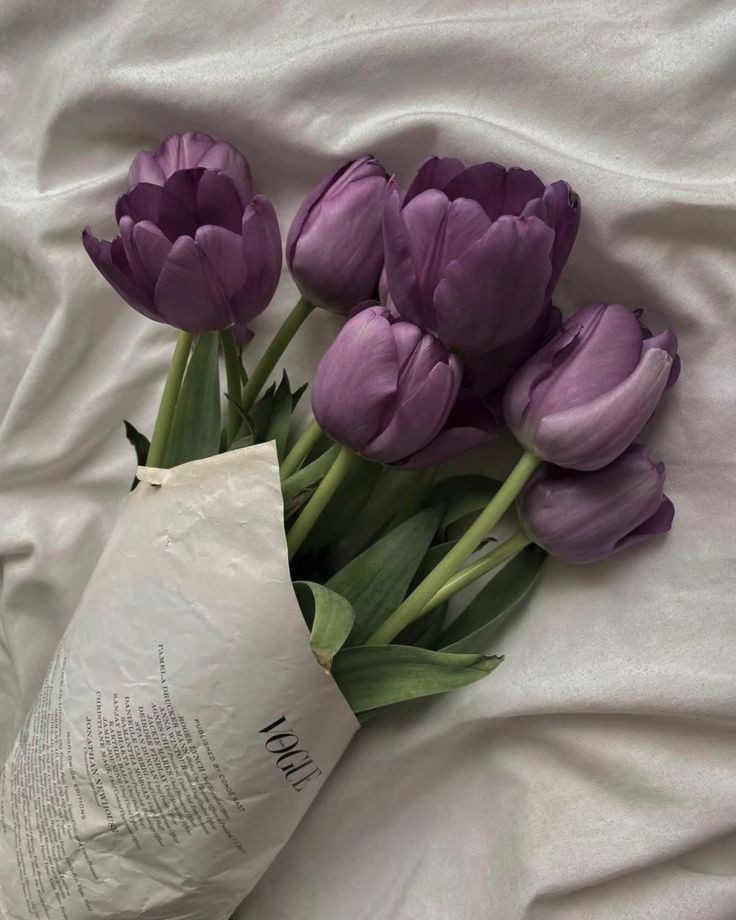 guloonohukla's tweet photo. Purple tulips https://t.co/DtZtQzH2Xl