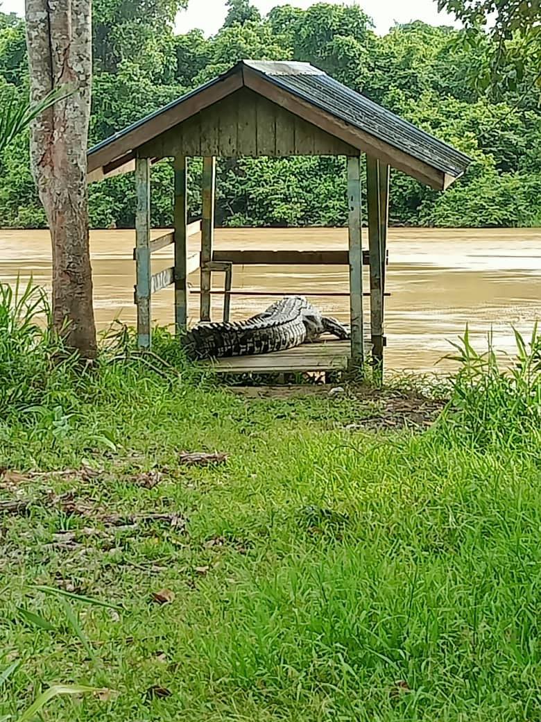 Lagi santai kawan..

Jeti Kampung Lubok Pangi, Limbang Sarawak