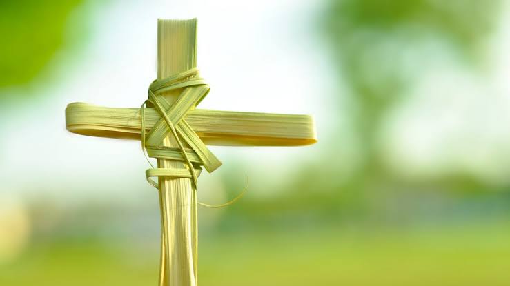 cacyofoffice's tweet photo. #HappyPalmSunday

Do we have a generation that lost out in the interesting memories of these palm fronds?😀 https://t.co/khOKr8B40p